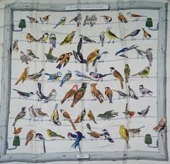 A variation of the Hermès scarf `Les oiseaux des champs et des bois ` first edited in 1953 by `Hugo Grygkar`