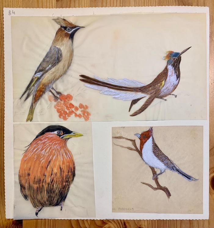 Design sketch and scarf comparison