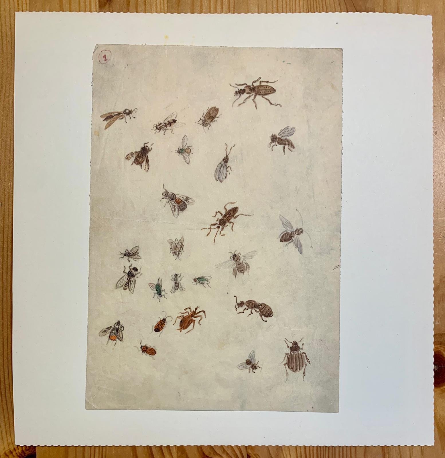 Design sketch process