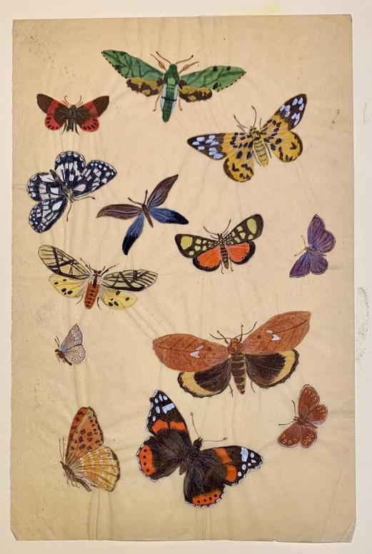 Archive collection detail