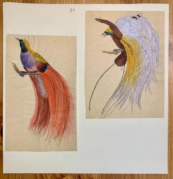 Hermès pieces from the collection